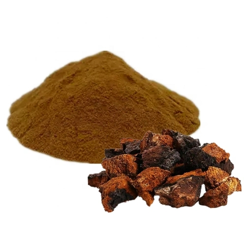 Chaga Mushroom Powder1.webp.jpg